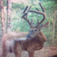 bowhuntinslife